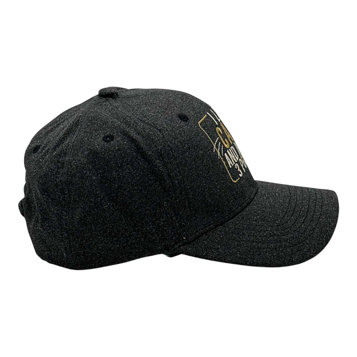 I Like Cats and Maybe 3 People Hat Funny Sarcastic Kitten Graphic Novelty Cap