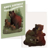 Funny Birthday Cards Hilarious  Cards for Happy Birthday Party With Envelopes