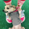 Women's Bow Chicka Chihuahua Socks Funny Pet Dog Small Breed Sarcastic Sex Footwear