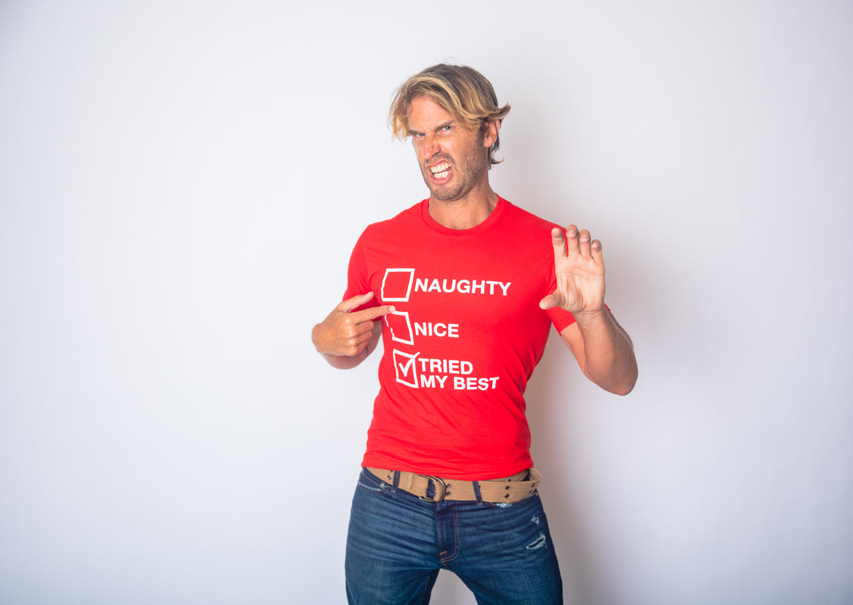 Mens Naughty List Nice List Tried My Best Funny Graphic Santa Christmas T shirt