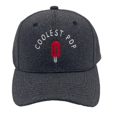 Coolest Pop Hat Funny Best Dad Ever Popsicle Cool Fathers Day Cap