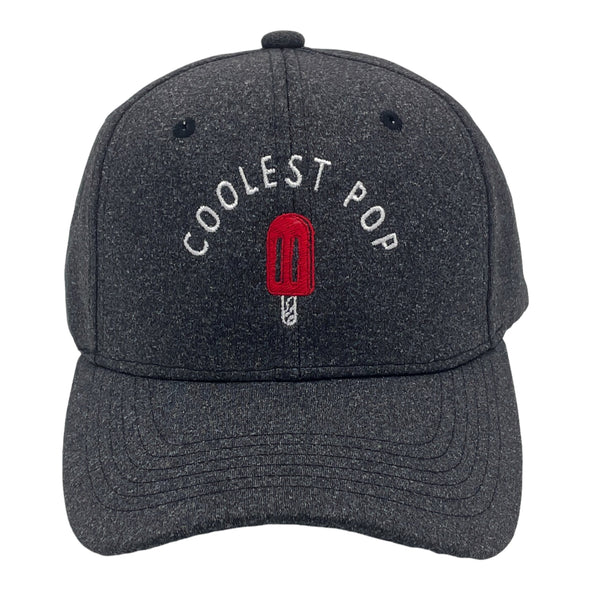 Coolest Pop Hat Funny Best Dad Ever Popsicle Cool Fathers Day Cap