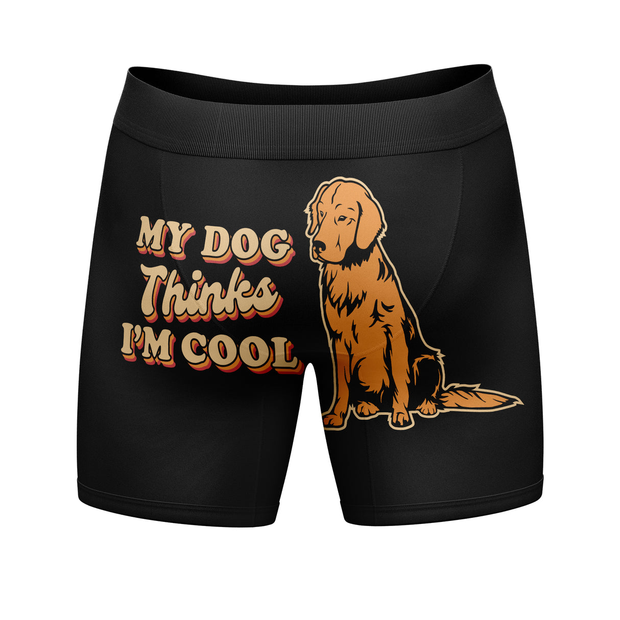 Mens Control Freak Boxer Briefs Funny Video Game Gamer Gift Graphic Novelty Underwear