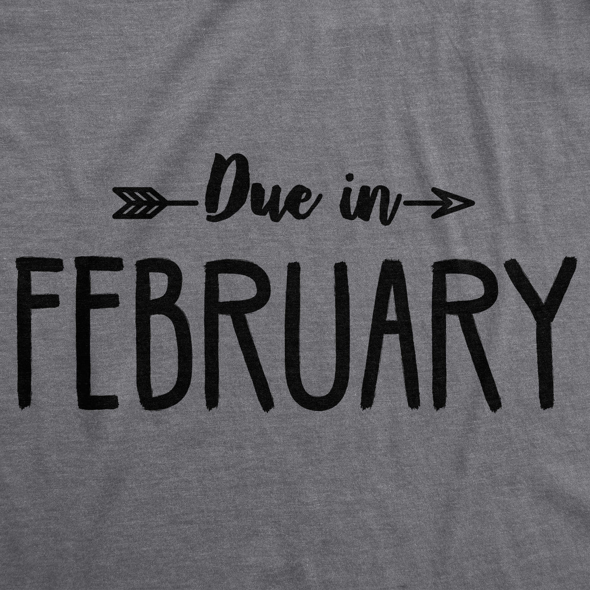 Maternity Due In February Funny T shirts Pregnant Shirts Announce Pregnancy Month Shirt