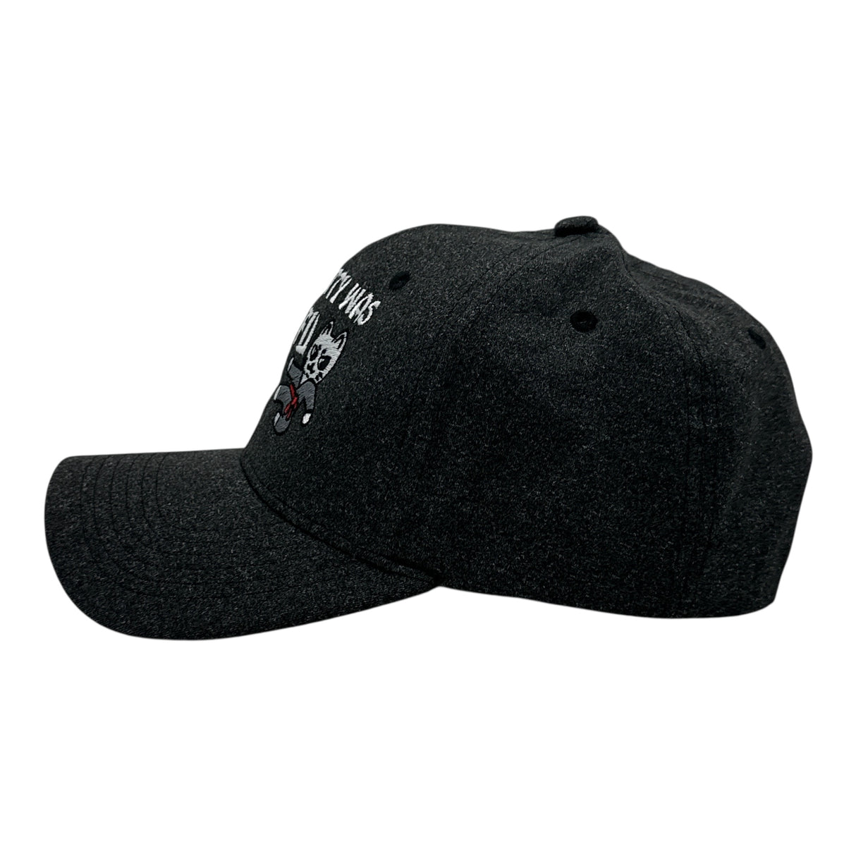 Every Kitty Was Kung Fu Fighting Hat Funny Sarcastic Graphic Novelty Cap