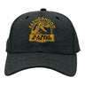 Fatherhood Is A Walk In The Park Hat Funny Sarcastic Fathers Day Dinosaur Graphic Cap