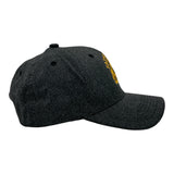 Fatherhood Is A Walk In The Park Hat Funny Sarcastic Fathers Day Dinosaur Graphic Cap