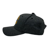 Fatherhood Is A Walk In The Park Hat Funny Sarcastic Fathers Day Dinosaur Graphic Cap