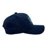 I Like Fishing and Maybe 3 People Hat Funny Sarcastic Fish Graphic Novelty Cap