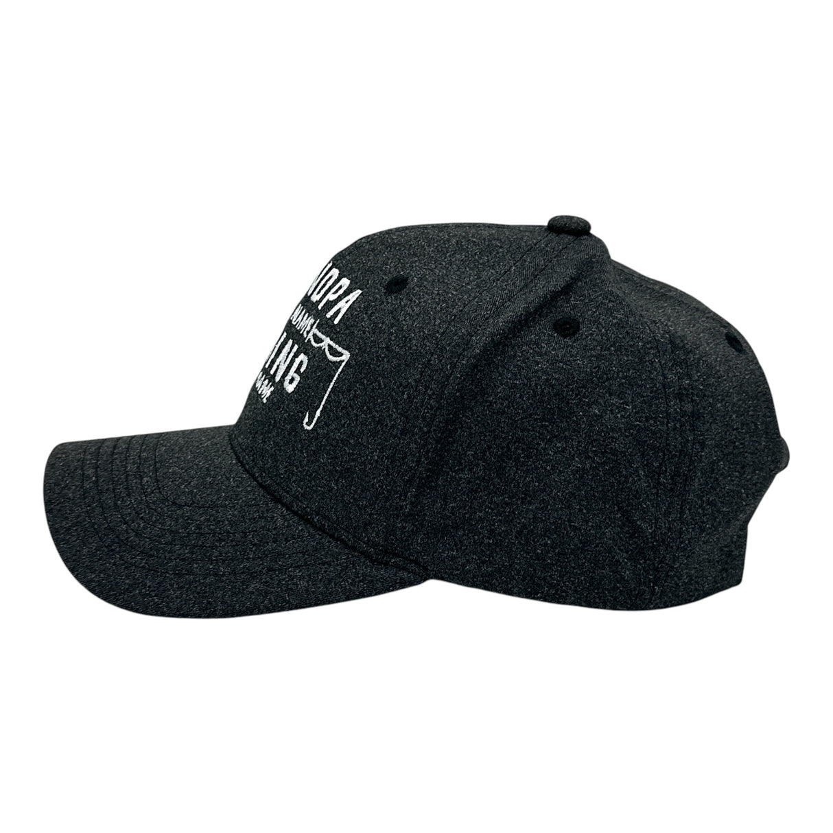 Funny Fishing Hats Hilarous Fish Graphic Caps