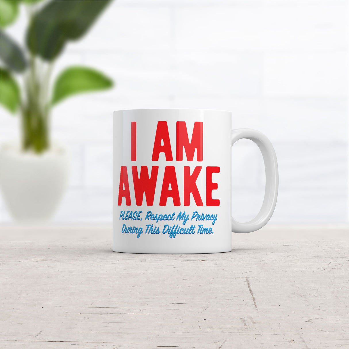 I Am Awake Please Respect My Privacy During This Difficult Time Mug Funny Novelty Cup-11oz