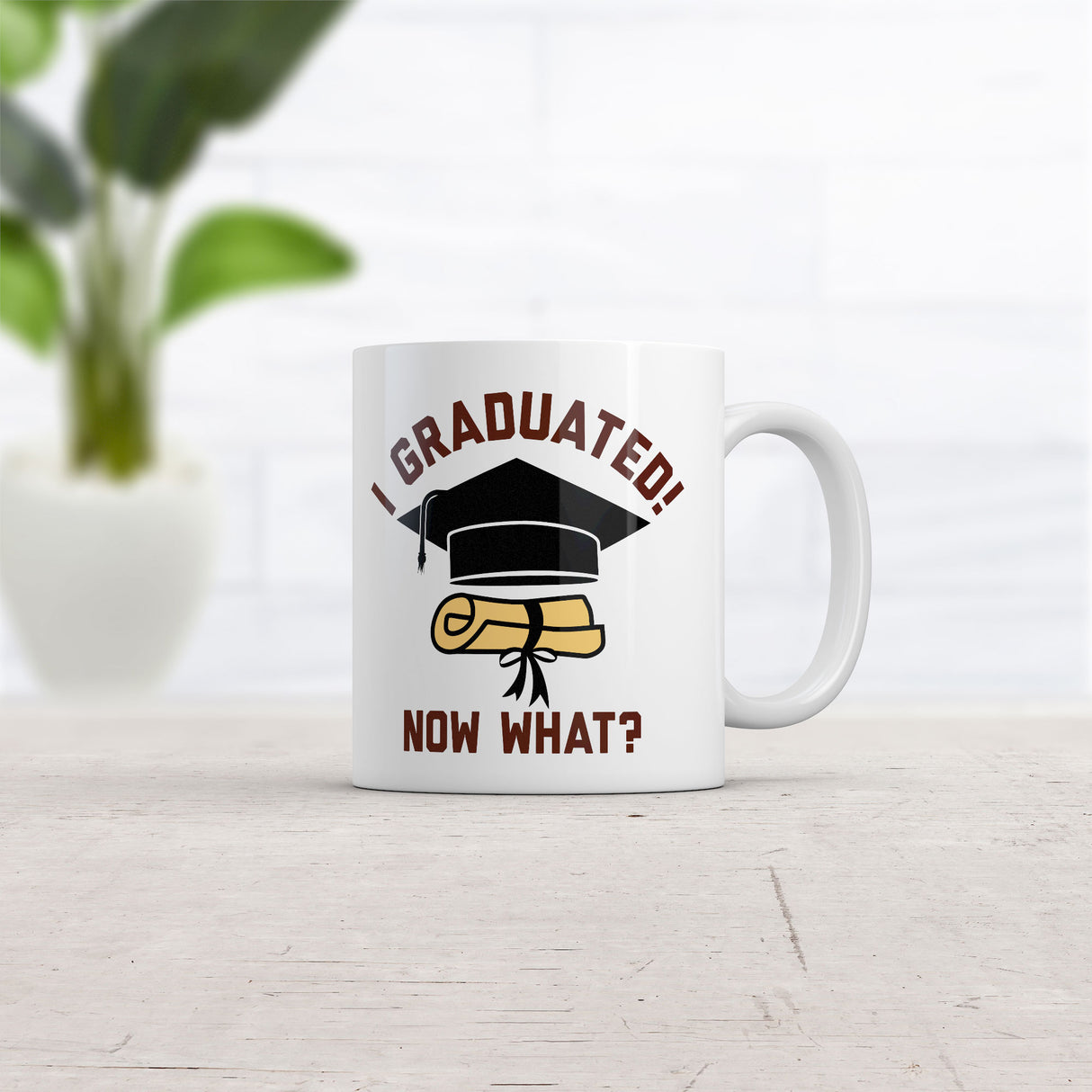 I Graduated Now What Mug Funny Sarcastic Graduation Graphic Novelty Coffee Cup-11oz