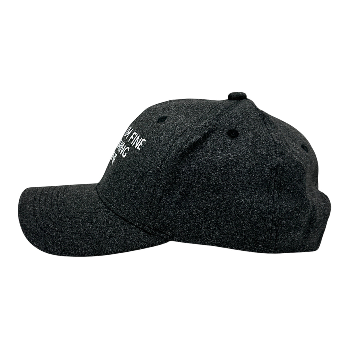 Its Fine Im Fine Everything Is Fine Hat Funny Sarcastic Graphic Novelty Cap