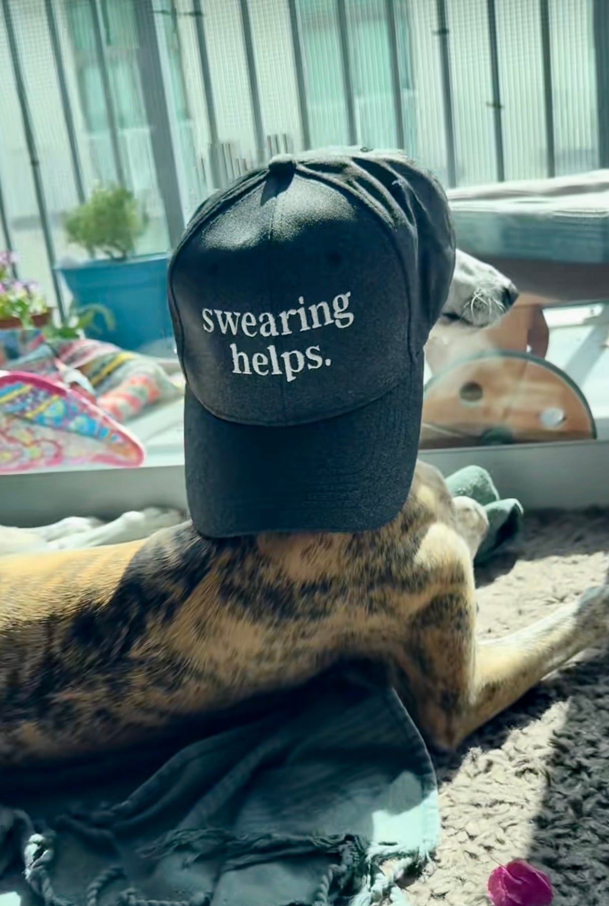 Swearing Helps Hat  Funny Curse Cuss Words Potty Mouth Joke Cap