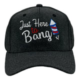 Just Here To Bang Hat Funny Sarcastic Fourth Of July Novelty Baseball Cap