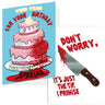 Funny Birthday Cards Hilarious  Cards for Happy Birthday Party With Envelopes