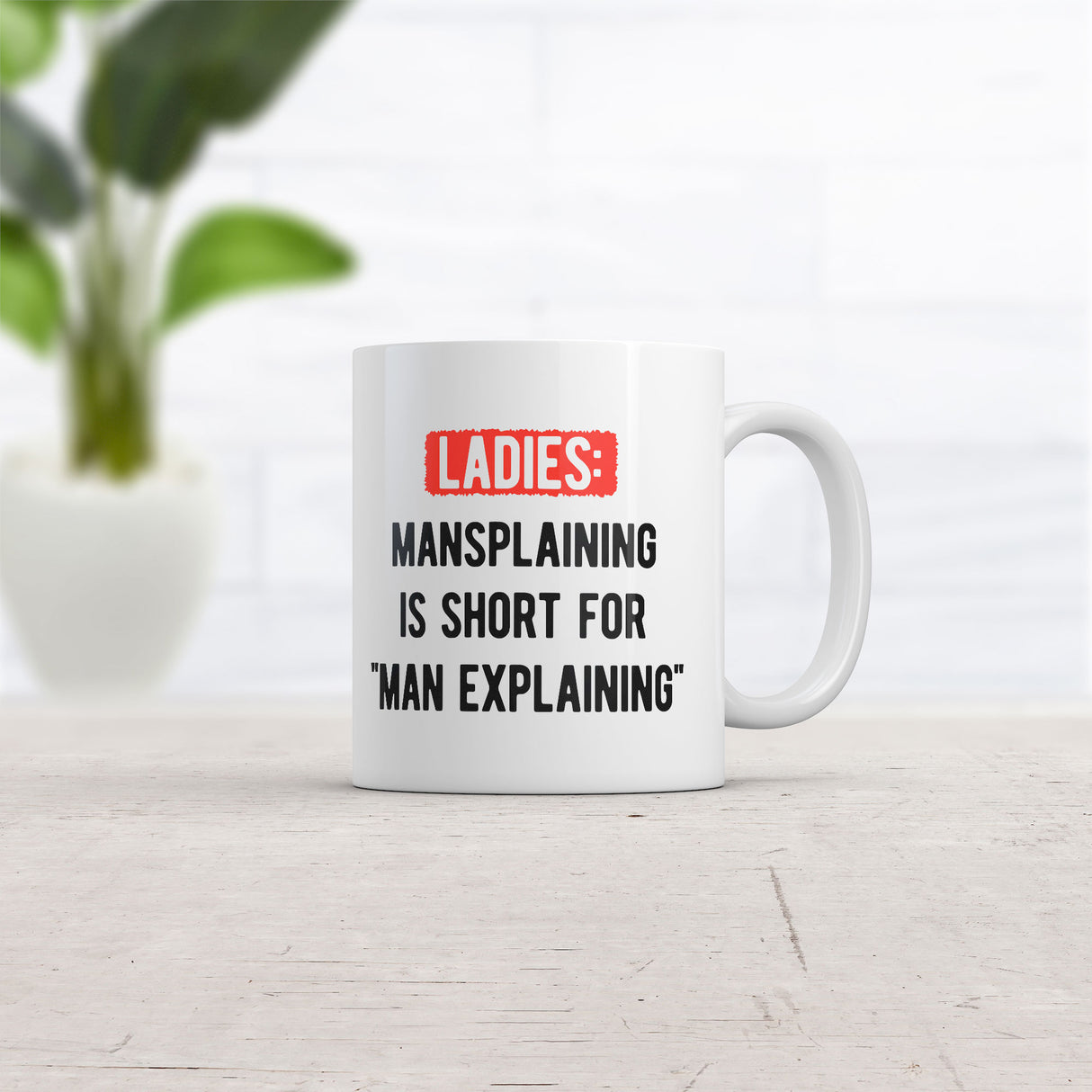 Ladies Mansplaining Is Short for Men Explaining Mug Funny Sarcastic Graphic Novelty Coffee Cup-11oz