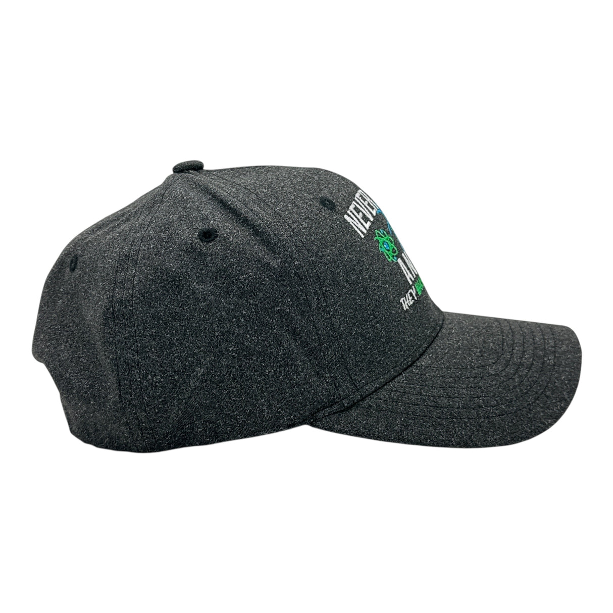 Never Trust An Atom They Make Up Everything Hat Funny Sarcastic Science Graphic Novelty Cap