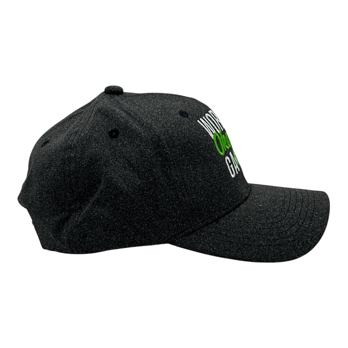 Worlds Okayest Gamer Hat Funny Sarcastic Video Game Graphic Novelty Cap