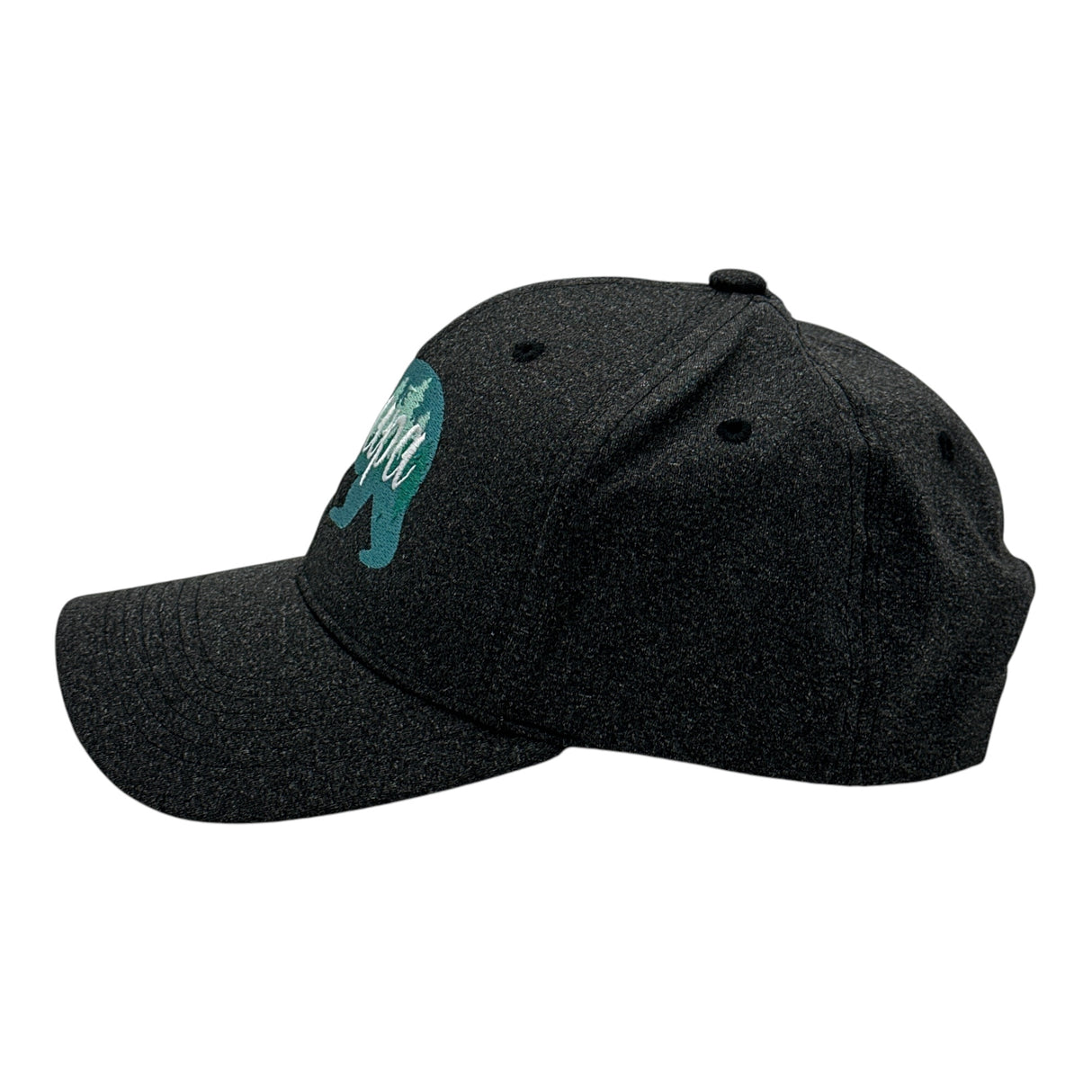 Papa Bear Hat Funny Fathers Day Gift Graphic Cap