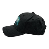 Papa Bear Hat Funny Fathers Day Gift Graphic Cap