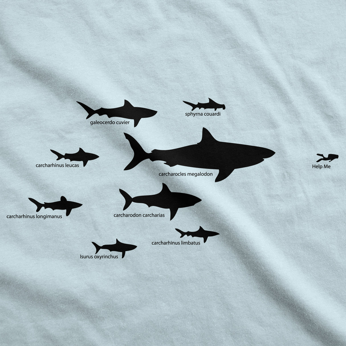 Mens Shark Hierarchy Chart T Shirt Funny Science Ocean Tee For Guys