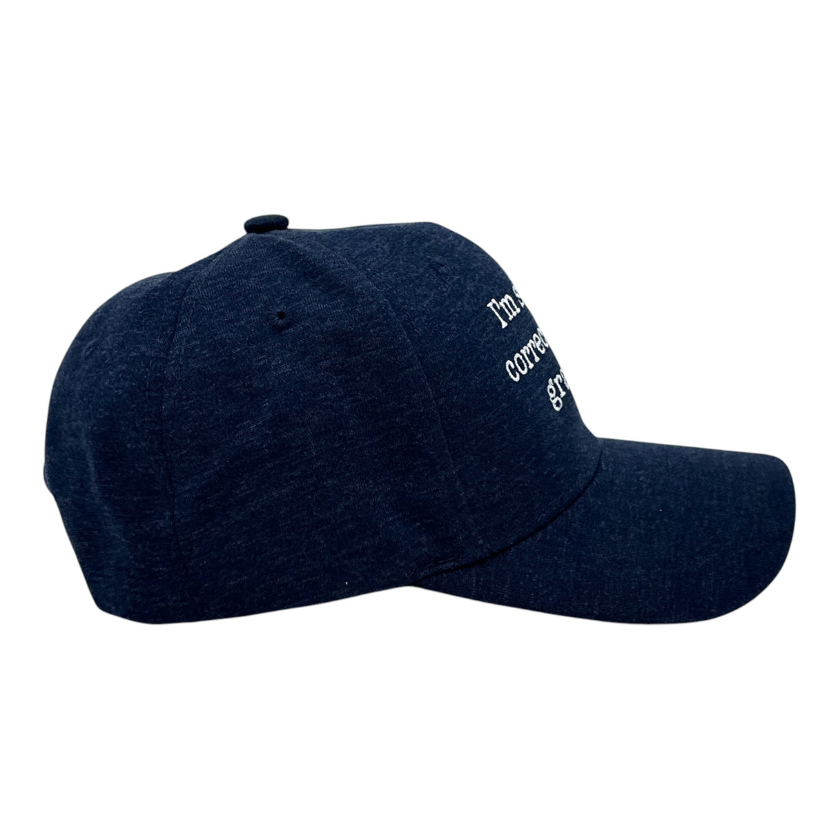 Im Silently Correcting Your Grammar Hat Funny Sarcastic Graphic Novelty Cap