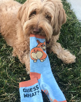 Women's Guess What Corgi Butt Socks Funny Small Breed Pret Puppy Dog Novelty Footwear