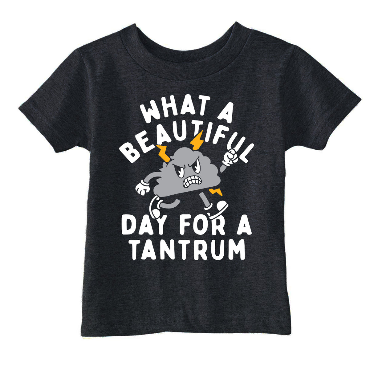Toddler Funny T Shirts What A Beautiful Day for A Tantrum Sarcastic Graphic Novelty Tee for Young Kids