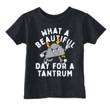 Toddler Funny T Shirts What A Beautiful Day for A Tantrum Sarcastic Graphic Novelty Tee for Young Kids
