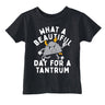 Toddler Funny T Shirts What A Beautiful Day for A Tantrum Sarcastic Graphic Novelty Tee for Young Kids