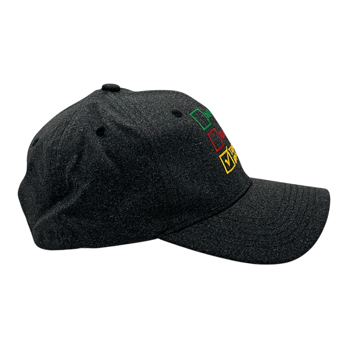 Naughty List Nice List Tried My Best Hat Funny Sarcastic Christmas Graphic Novelty Cap