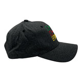 Naughty List Nice List Tried My Best Hat Funny Sarcastic Christmas Graphic Novelty Cap