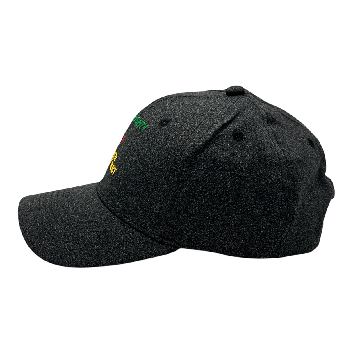 Naughty List Nice List Tried My Best Hat Funny Sarcastic Christmas Graphic Novelty Cap