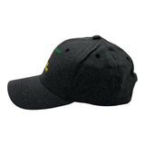Naughty List Nice List Tried My Best Hat Funny Sarcastic Christmas Graphic Novelty Cap