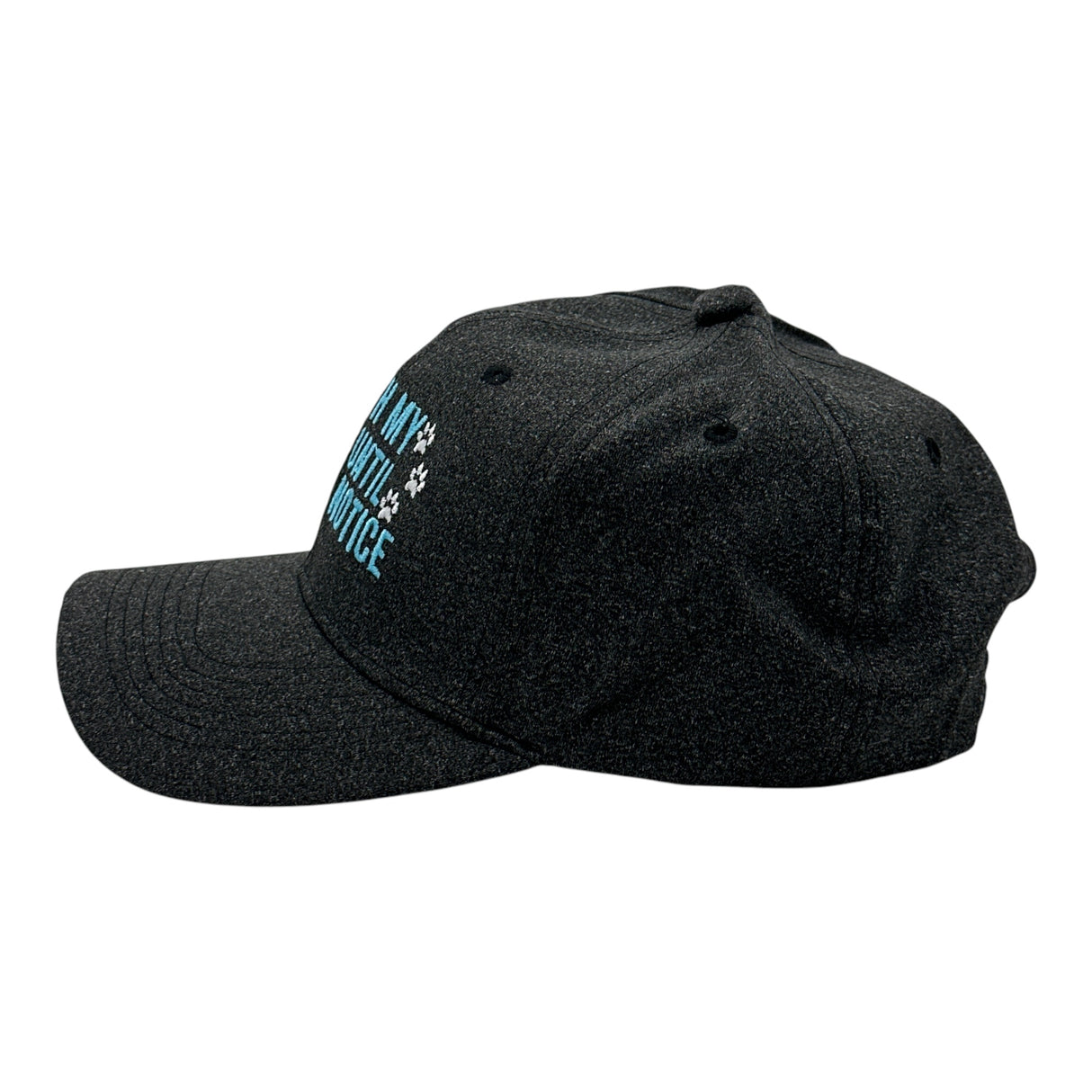 With My Dog Until Further Notice Hat Funny Sarcastic Puppy Lover Graphic Novelty Cap