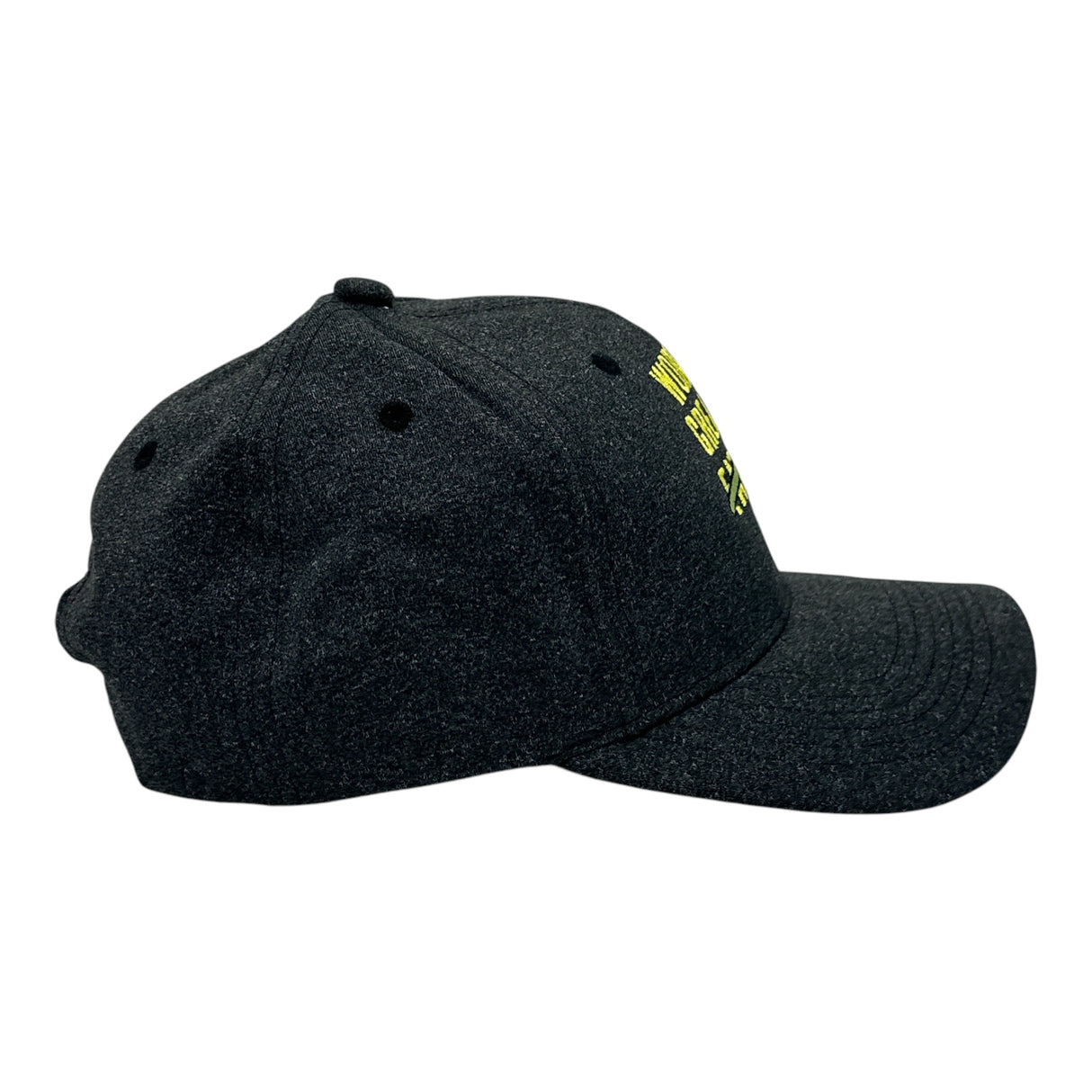 Worlds Greatest Farter Hat Funny Sarcastic Fathers Day Graphic Novelty Cap