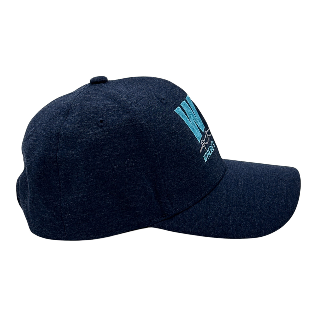 WTF Wheres The Fish Hat Funny Sarcastic Fishing Graphic Novelty Cap