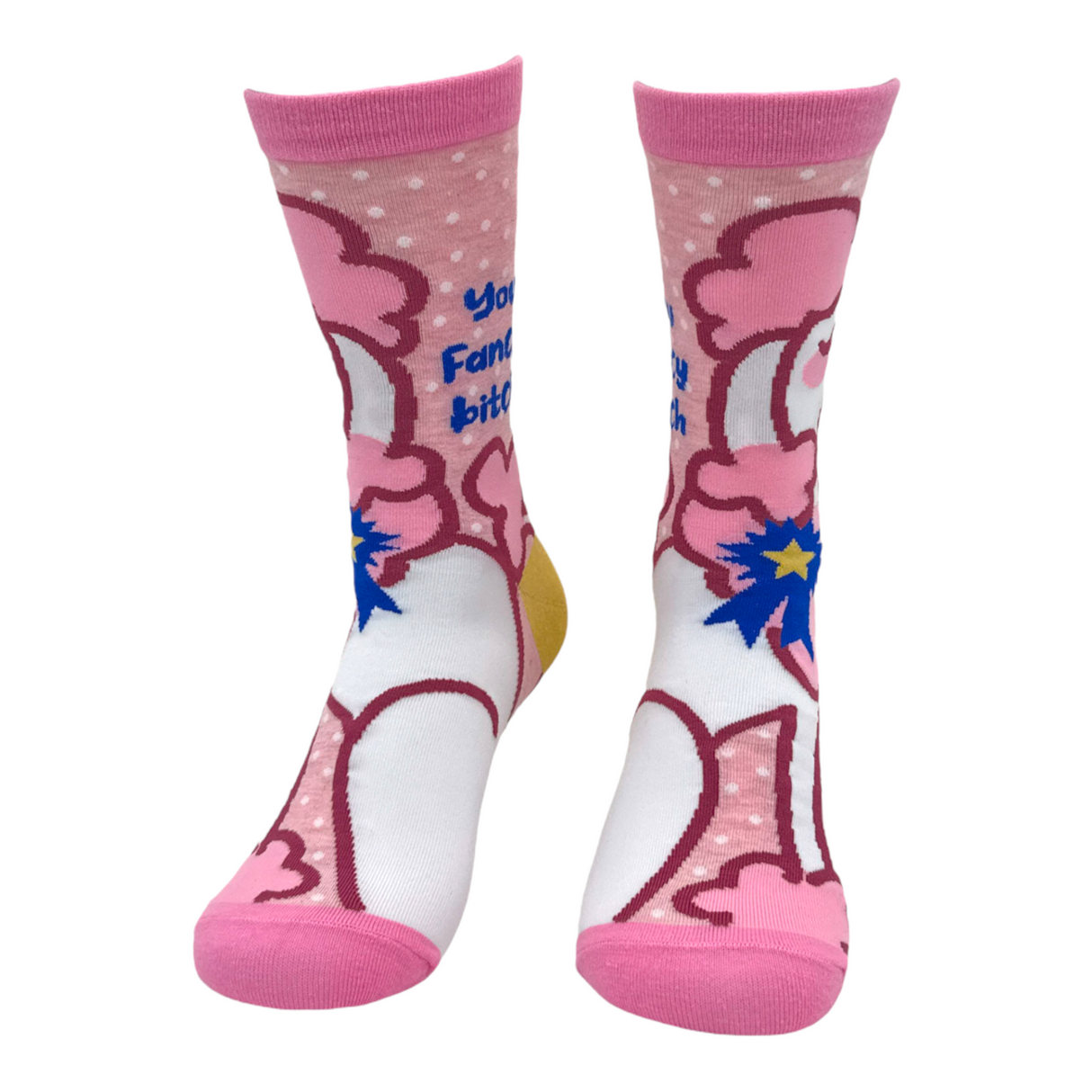 Women's You Fancy Bitch Socks Funny Offensive Fabulous Dog Joke Footwear