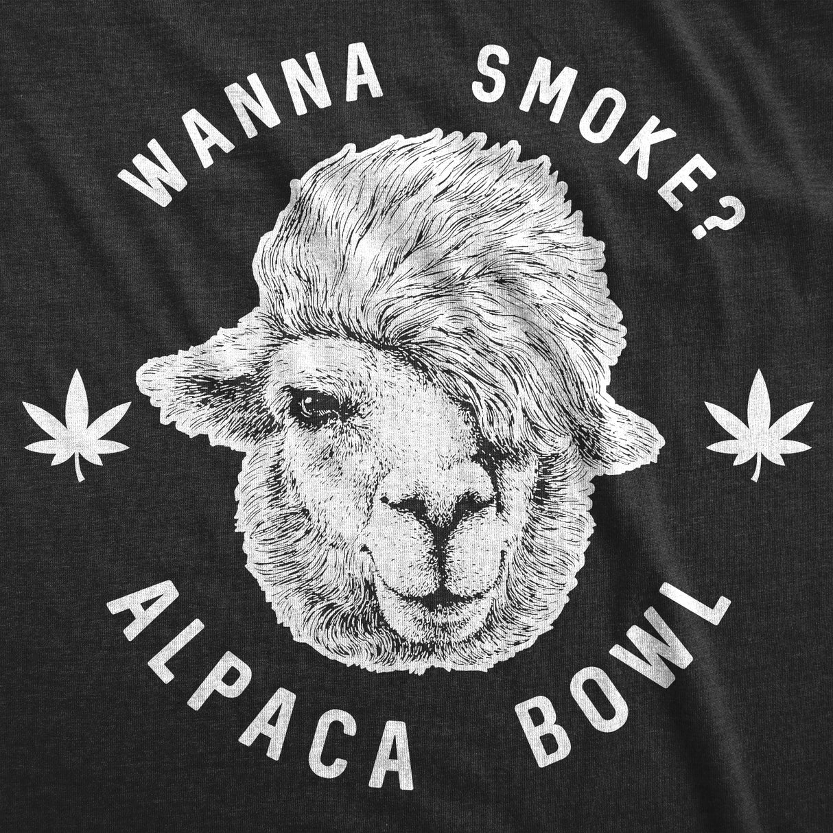 Wanna Smoke Alpaca Bowl Men's Tshirt