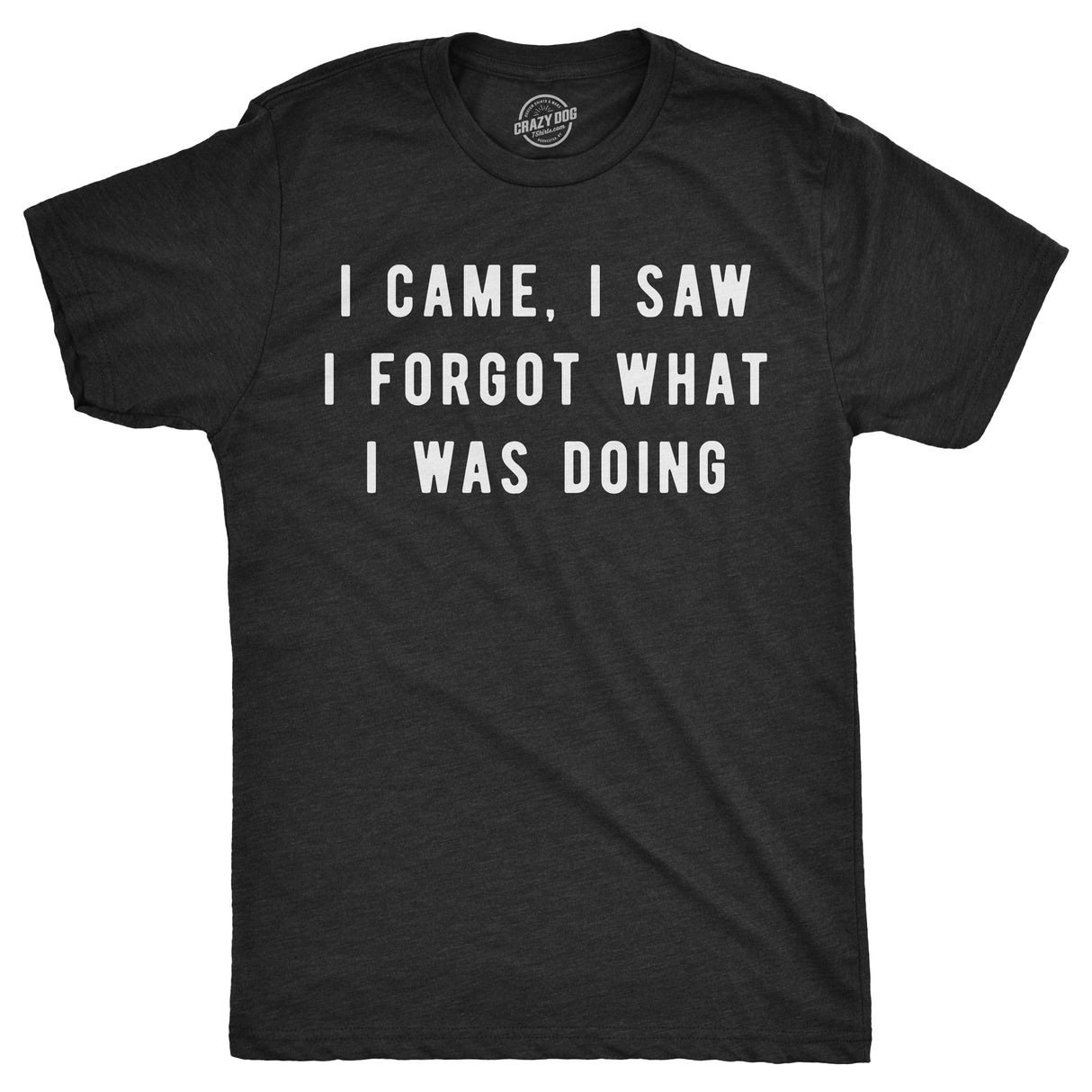 I Came, I Saw I Forgot What I Was Doing Men's Tshirt