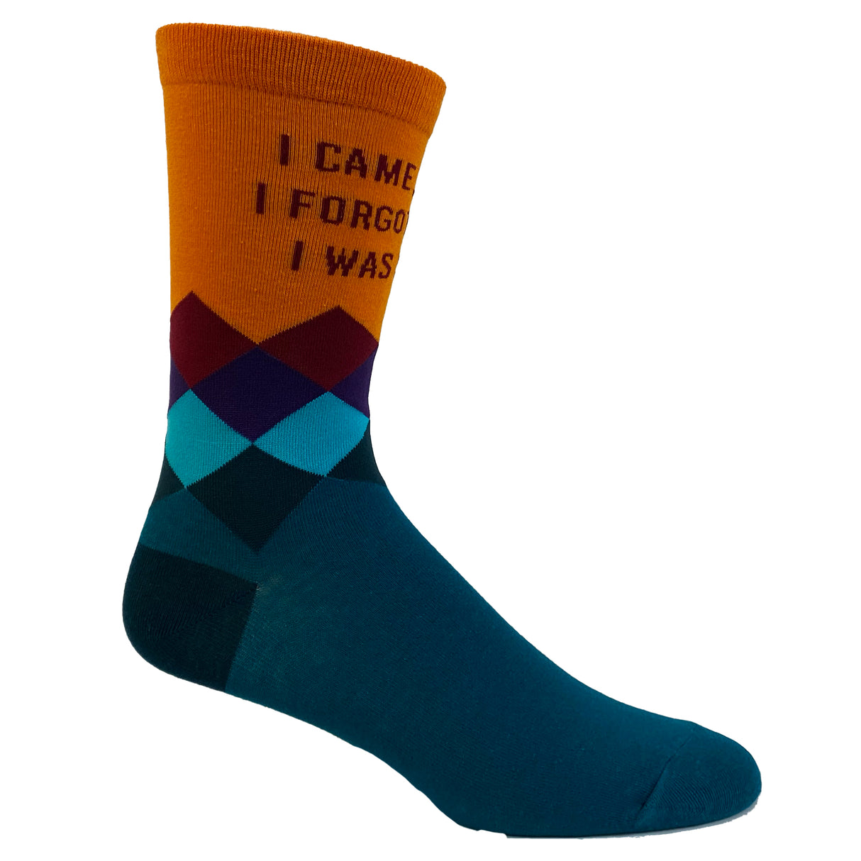 Women's I Came I Saw I Forgot What I Was Doing Socks Funny Introvert Sarcastic Graphic Novelty Footwear