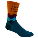 Women's I Came I Saw I Forgot What I Was Doing Socks Funny Introvert Sarcastic Graphic Novelty Footwear