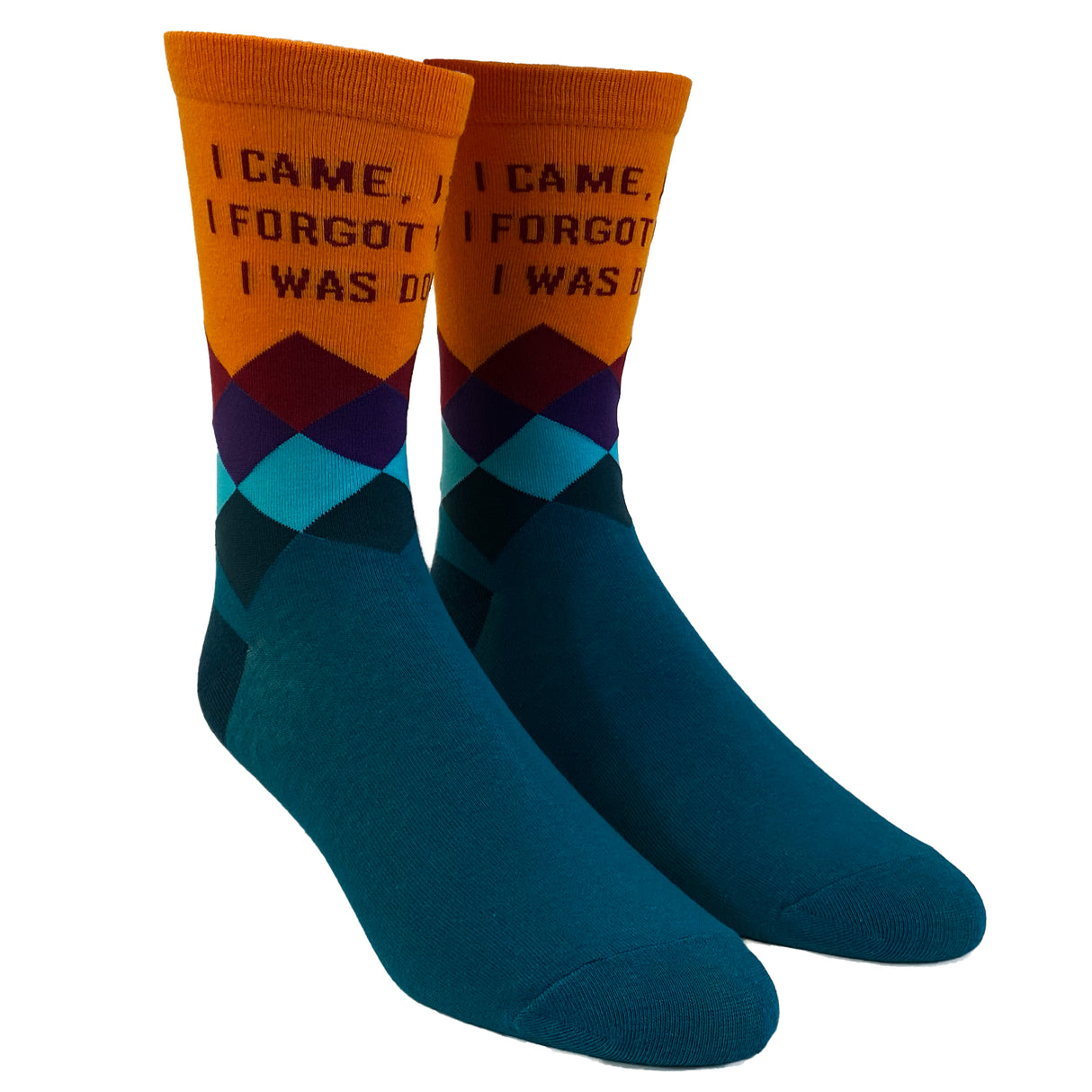 Women's I Came I Saw I Forgot What I Was Doing Socks Funny Introvert Sarcastic Graphic Novelty Footwear