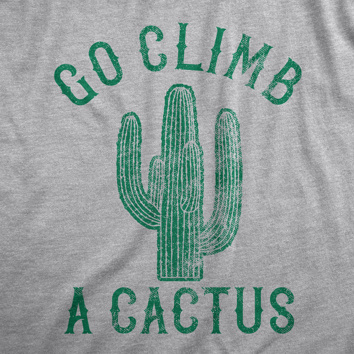 Womens Go Climb A Cactus Tshirt Funny Prickly Dessert Plant Graphic Novelty Tee