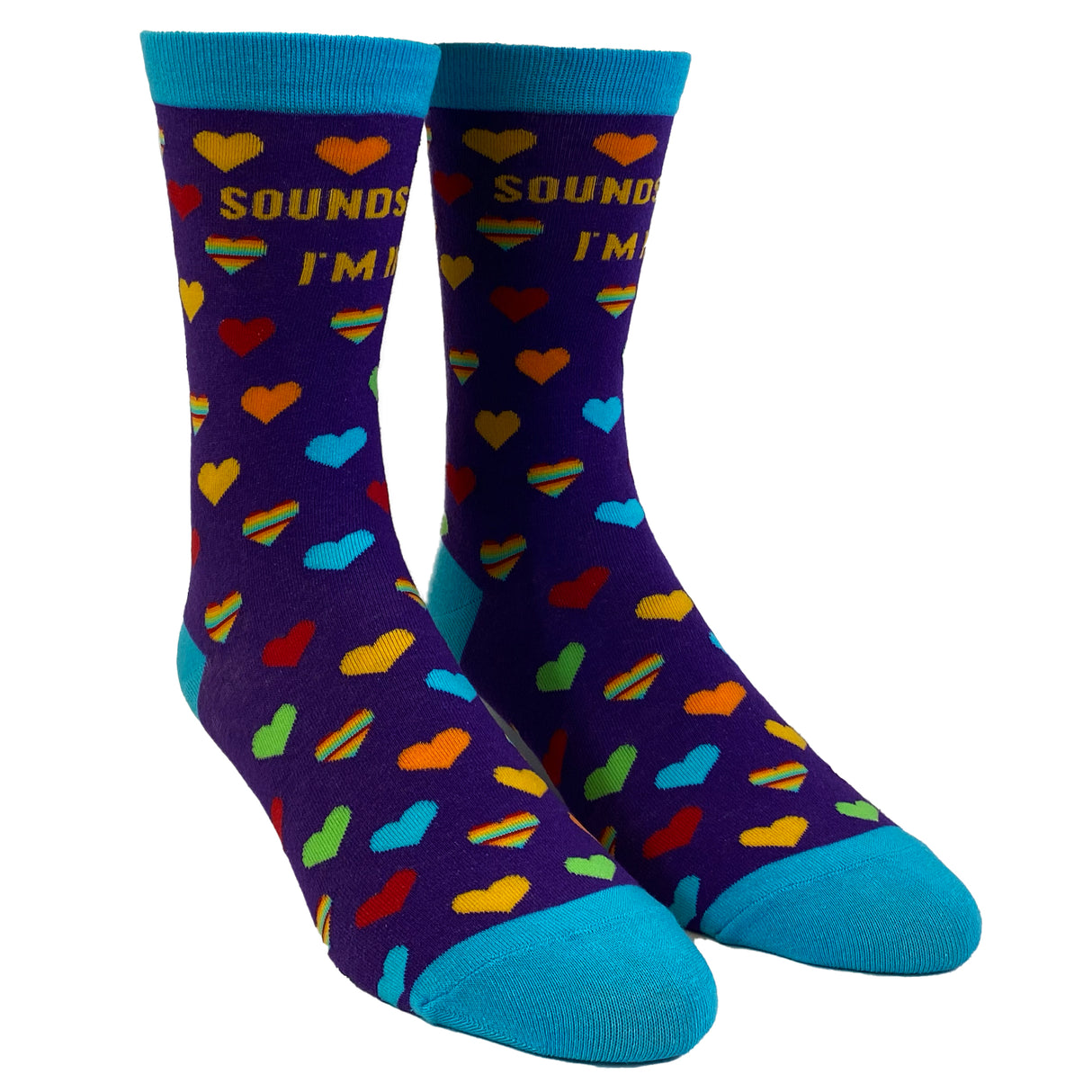 Men's Sounds Gay I'm In Socks Funny LGBTQ Pride Parade Graphic Novelty Footwear