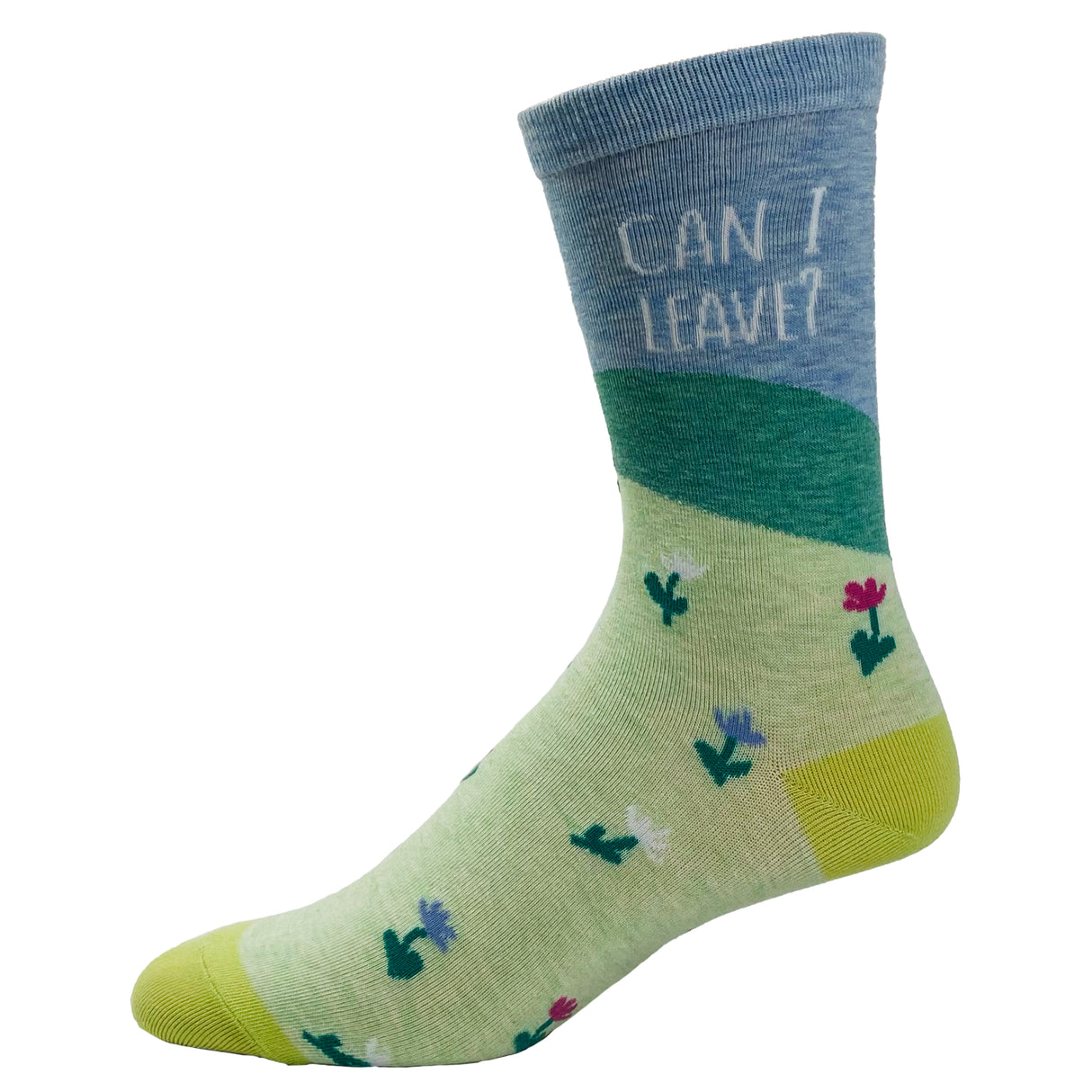 Women's Can I Leave Socks Funny Loner Introvert Sunny Day Sarcastic Footwear