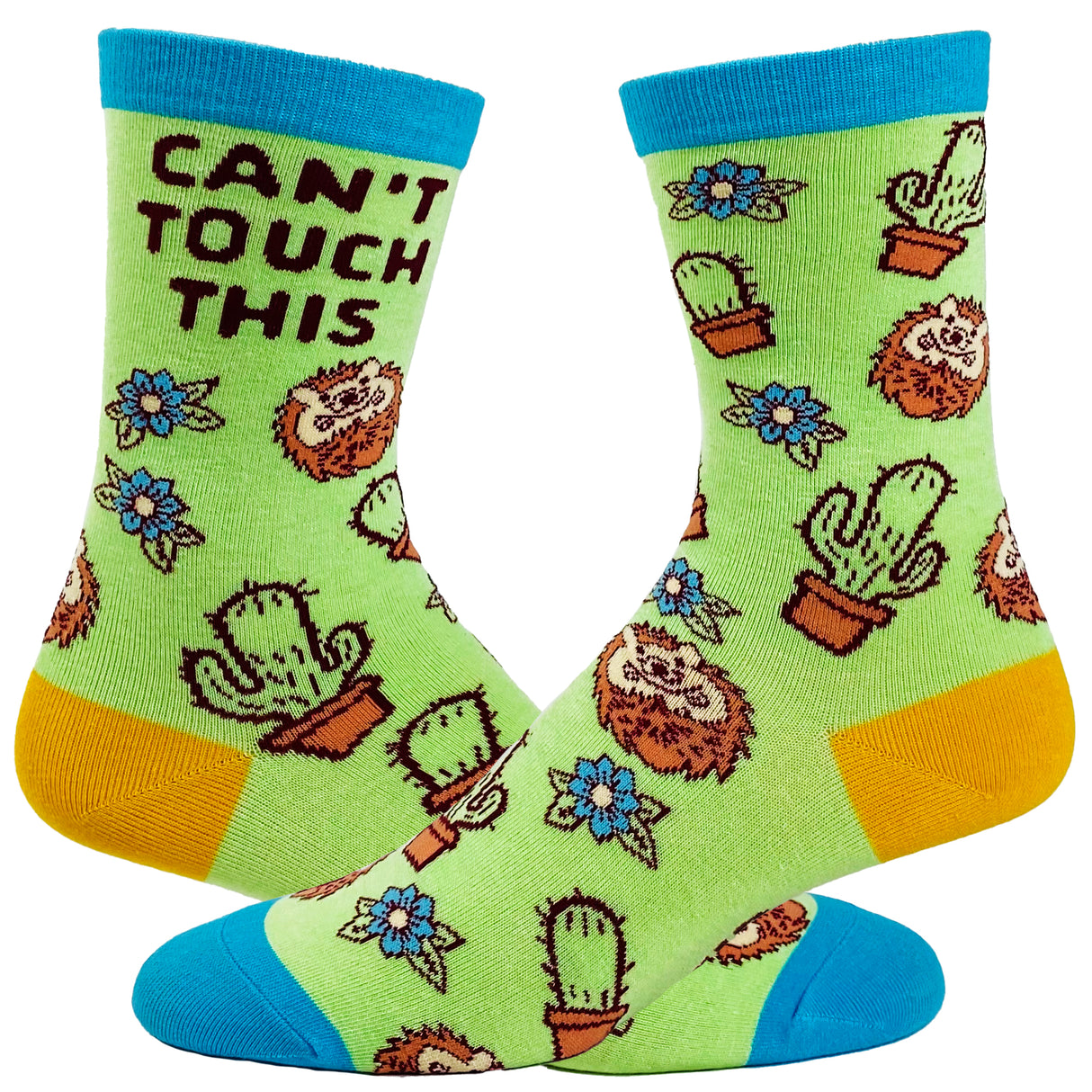 Youth Can't Touch This Socks Funny Sharp Cactus Hedgehog Graphic Sarcastic Footwear