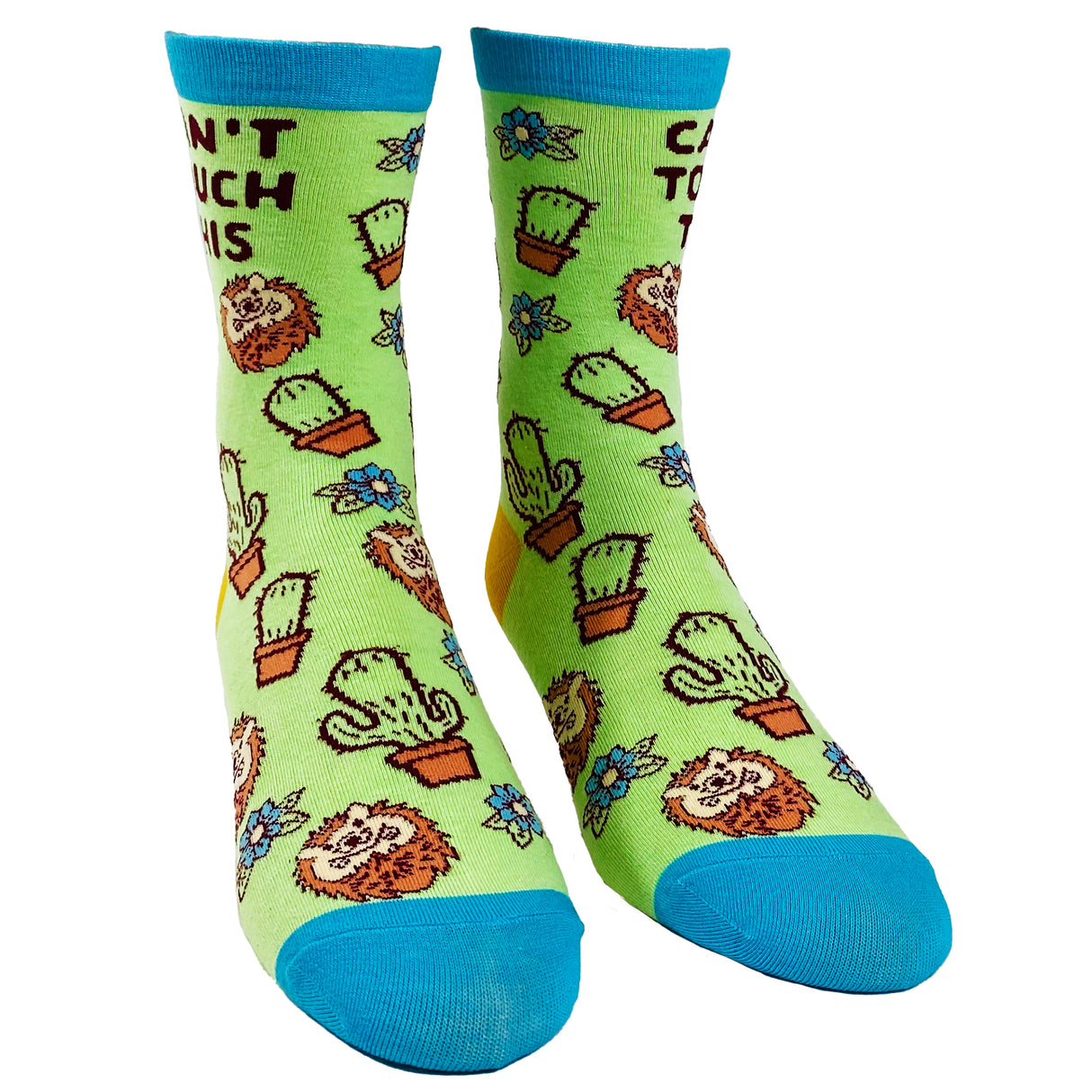 Women's Can't Touch This Socks Funny Sharp Cactus Hedgehog Graphic Sarcastic Footwear