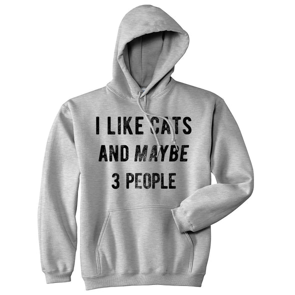 I Like Cats And Maybe 3 People Hoodie Funny Cat Saying Animal Lover Sweatshirt